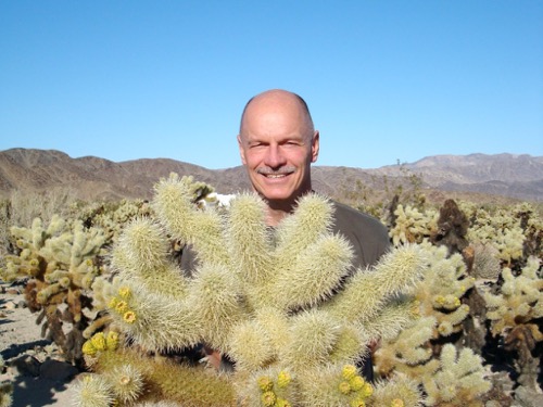 Roy Cholla